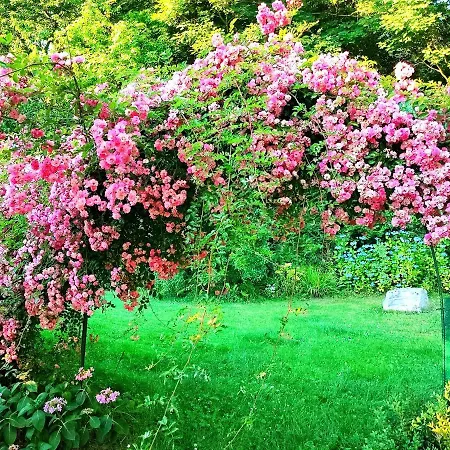 Hébergement de vacances Le Manoir De Briquedalles